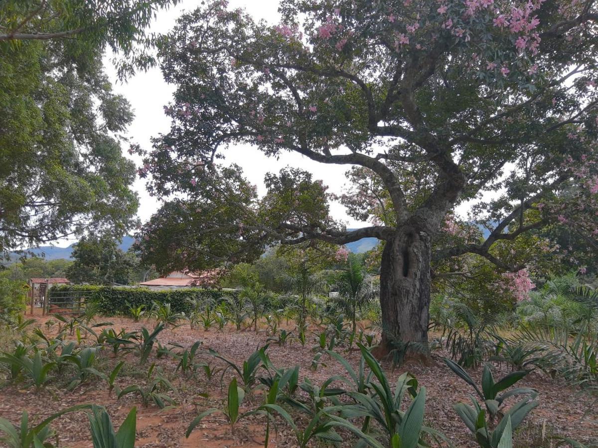 Chale Veredas E Buritis Pirenópolis Exteriér fotografie