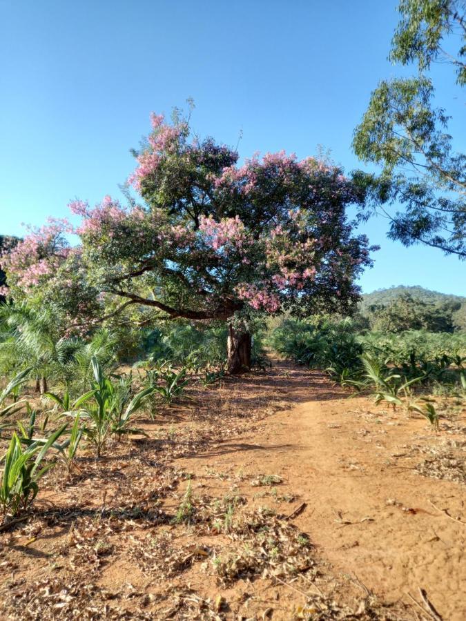 Chale Veredas E Buritis Pirenópolis Exteriér fotografie