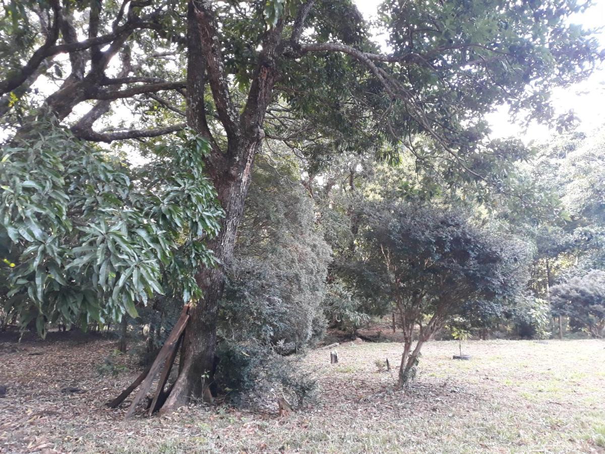 Chale Veredas E Buritis Pirenópolis Exteriér fotografie