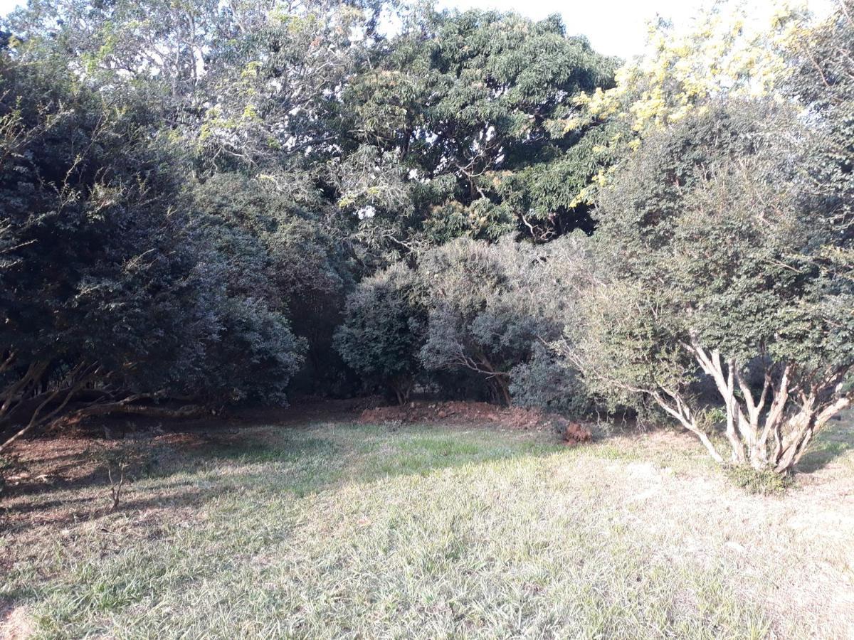 Chale Veredas E Buritis Pirenópolis Exteriér fotografie